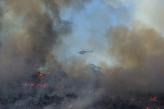 Kings Park Fire