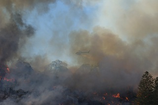 Bush fire in Perth with heli-tanker
