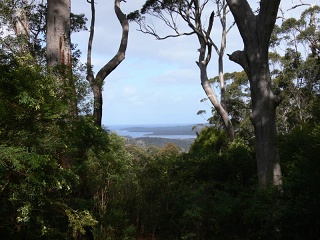 Walpole WA