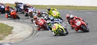 Wanneroo With Staring Leading